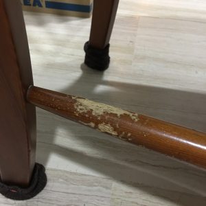 pet dog chew habits