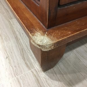 pet dog chew habits