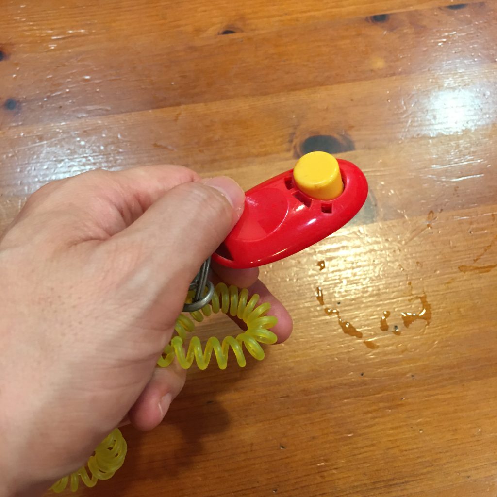 how to use a clicker for dog training